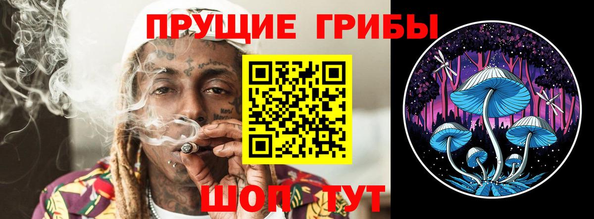 Псилоцибиновые грибы мицелий  Вход с VPN  Югорск  Галлюциногенные грибы мицелий 